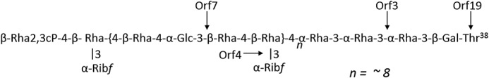 Figure 9.