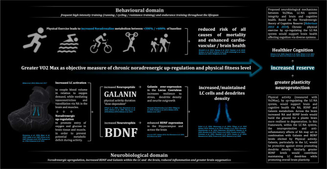 Figure 5 -