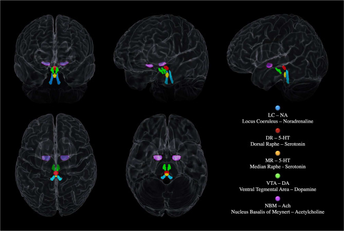 Figure 2 –