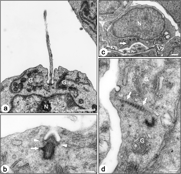 Fig. 8