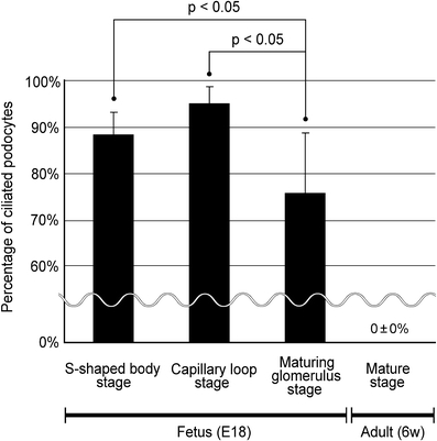 Fig. 7