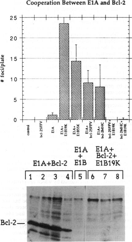 graphic file with name pnas01090-0467-b.jpg