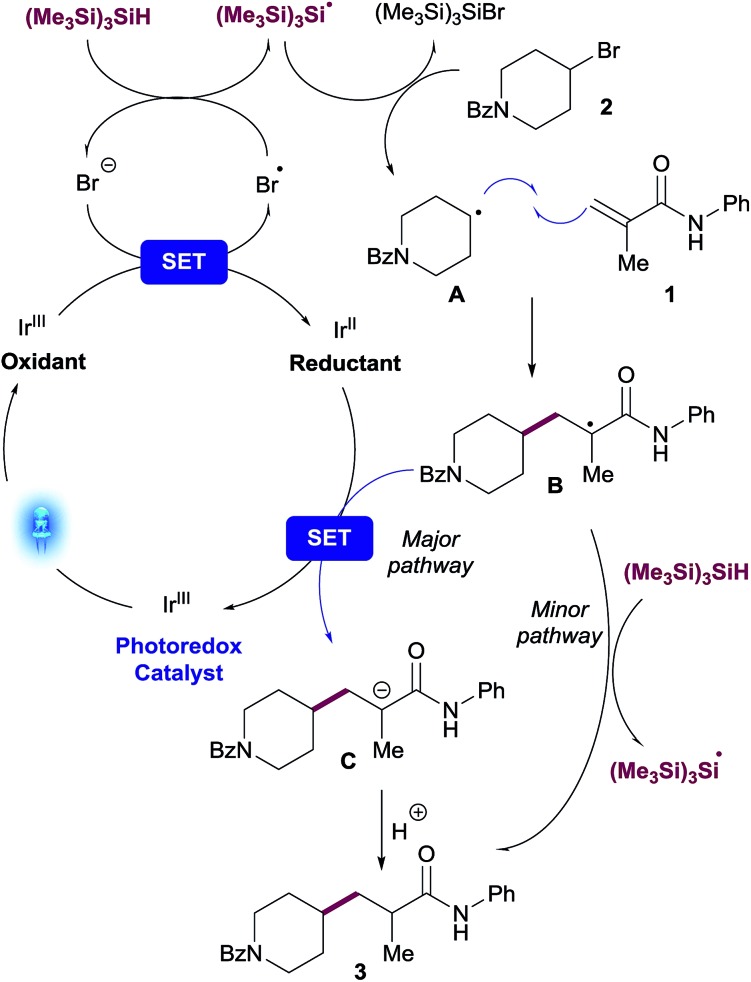 Scheme 2