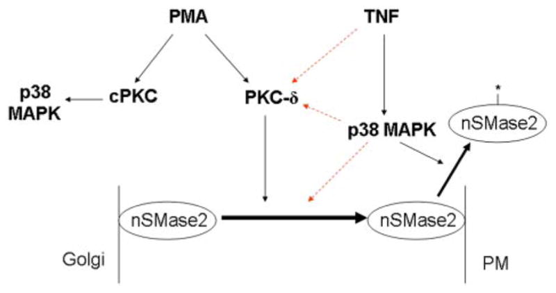 Fig. 10