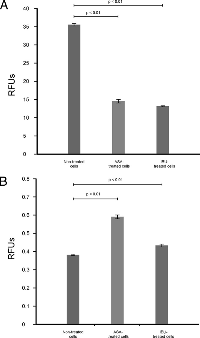 FIG 6