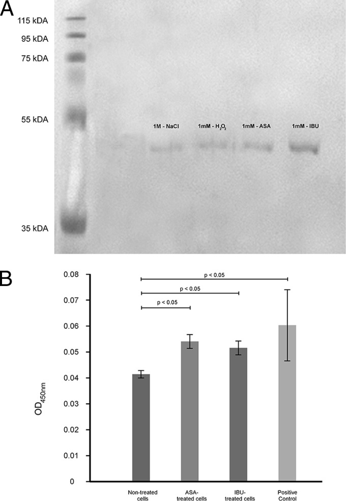 FIG 5