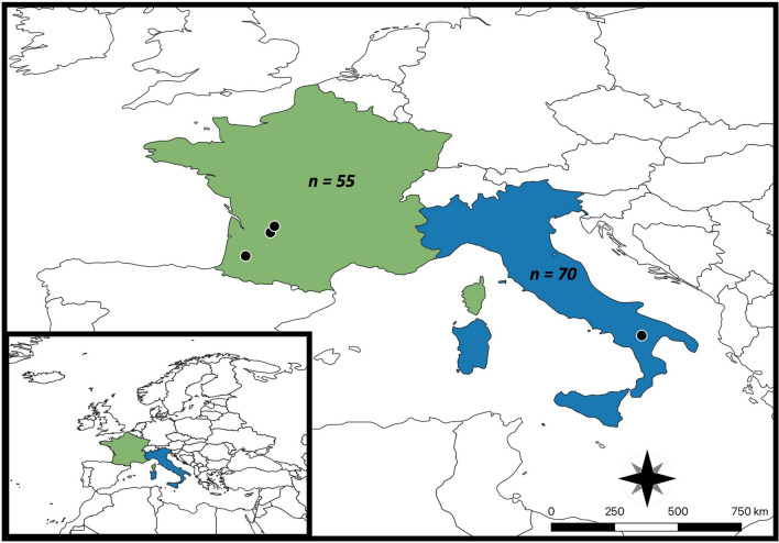 Fig. 1