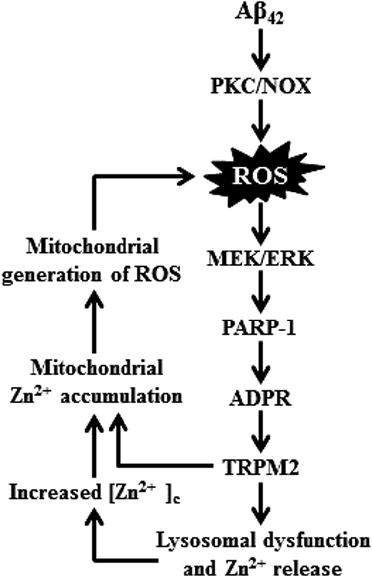 Fig. 10