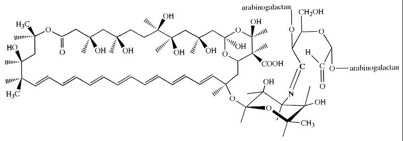 FIG. 1