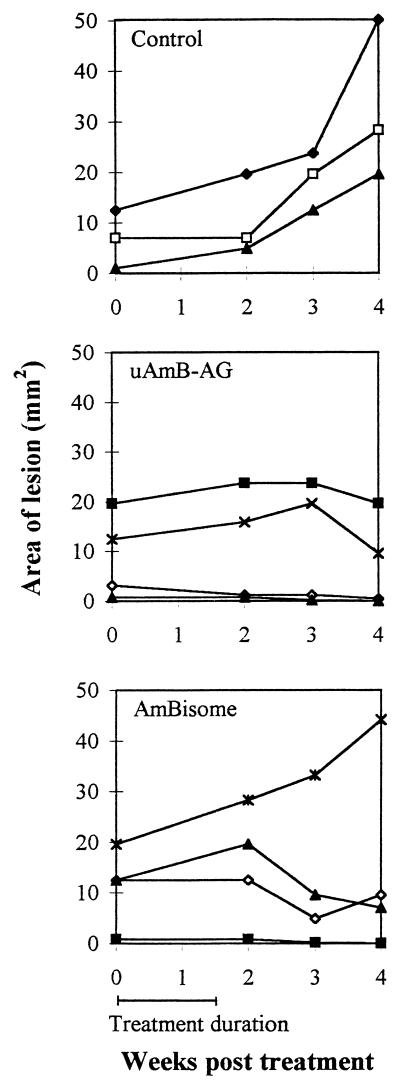 FIG. 5