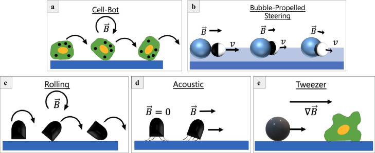 Fig 10