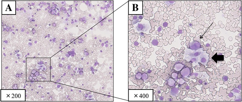 Fig. 2