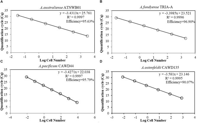 FIGURE 3