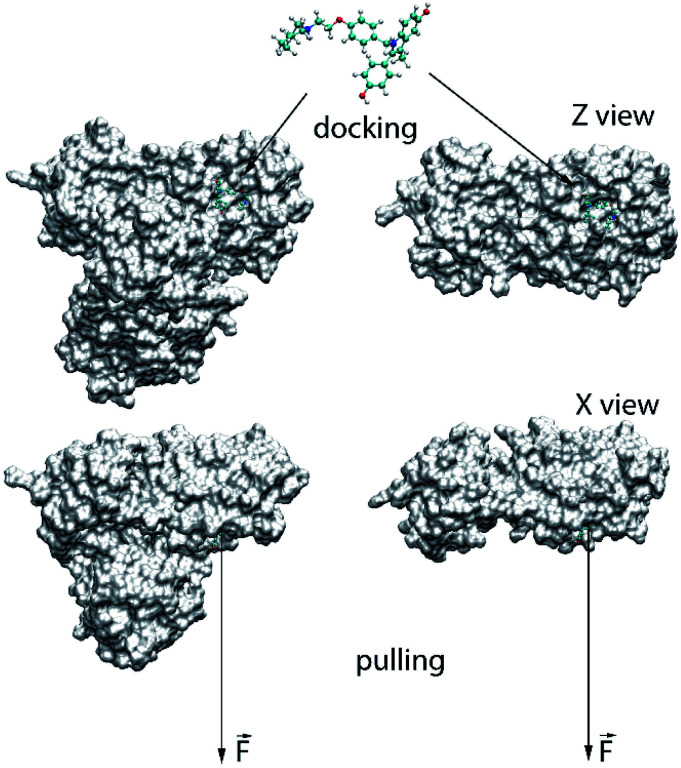 Fig. 1