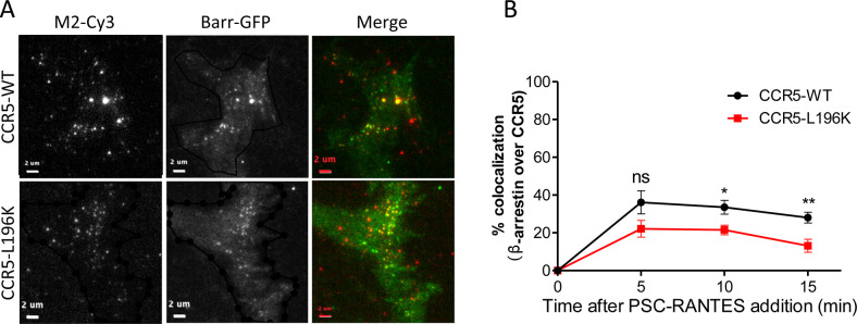 Figure 6—figure supplement 1.