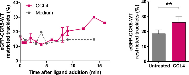 Figure 3—figure supplement 1.