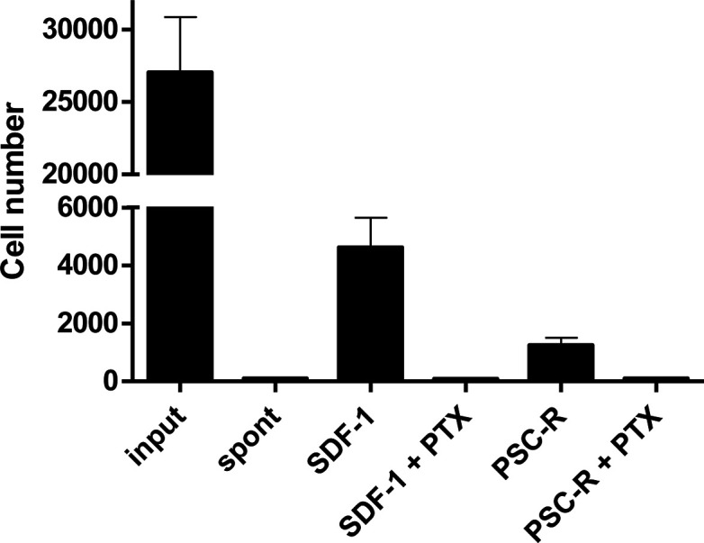 Figure 4—figure supplement 1.