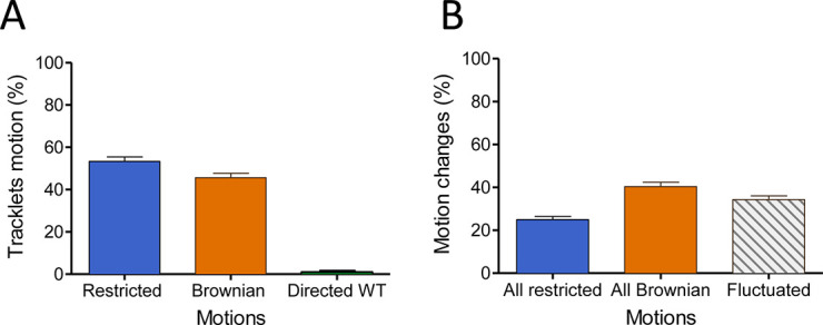 Figure 2—figure supplement 1.