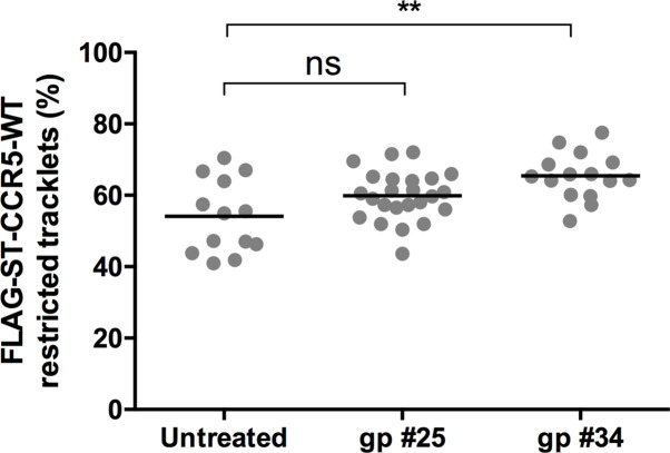 Figure 7—figure supplement 1.