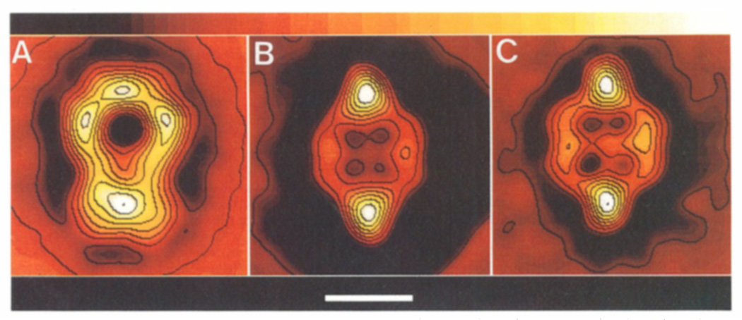 FIG. 3