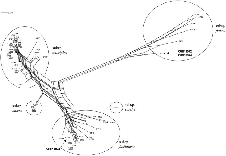 FIG 2