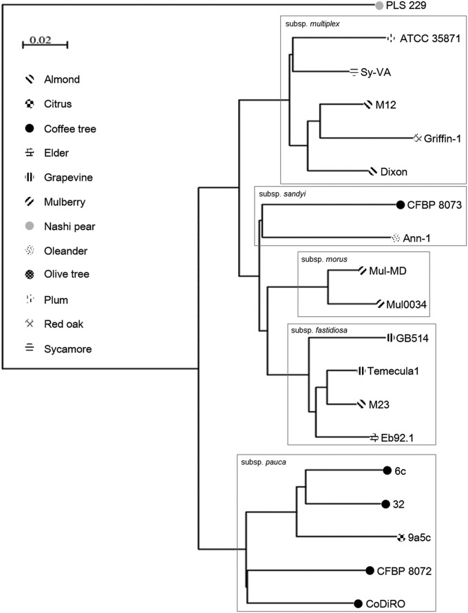 FIG 3