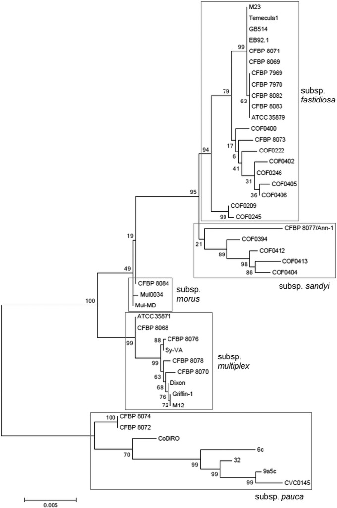 FIG 1