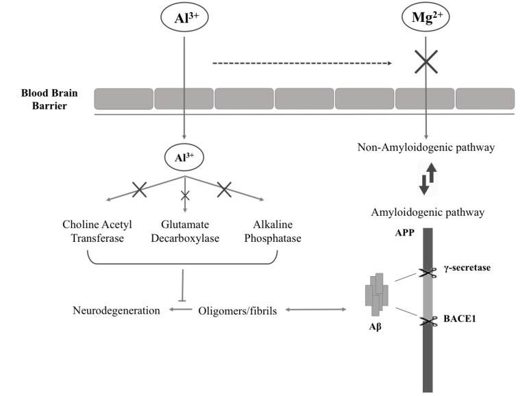 Fig. (1)