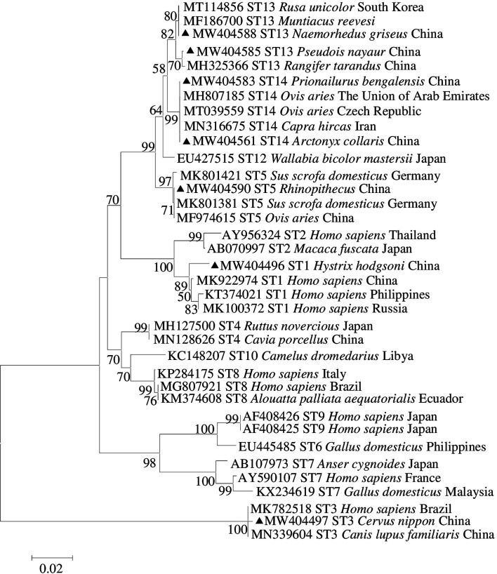 Figure 2