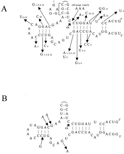 FIG. 6