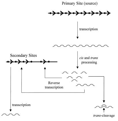 FIG. 7