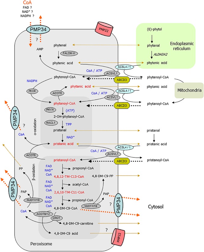 FIGURE 10