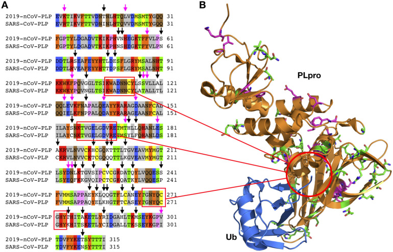 Figure 6.