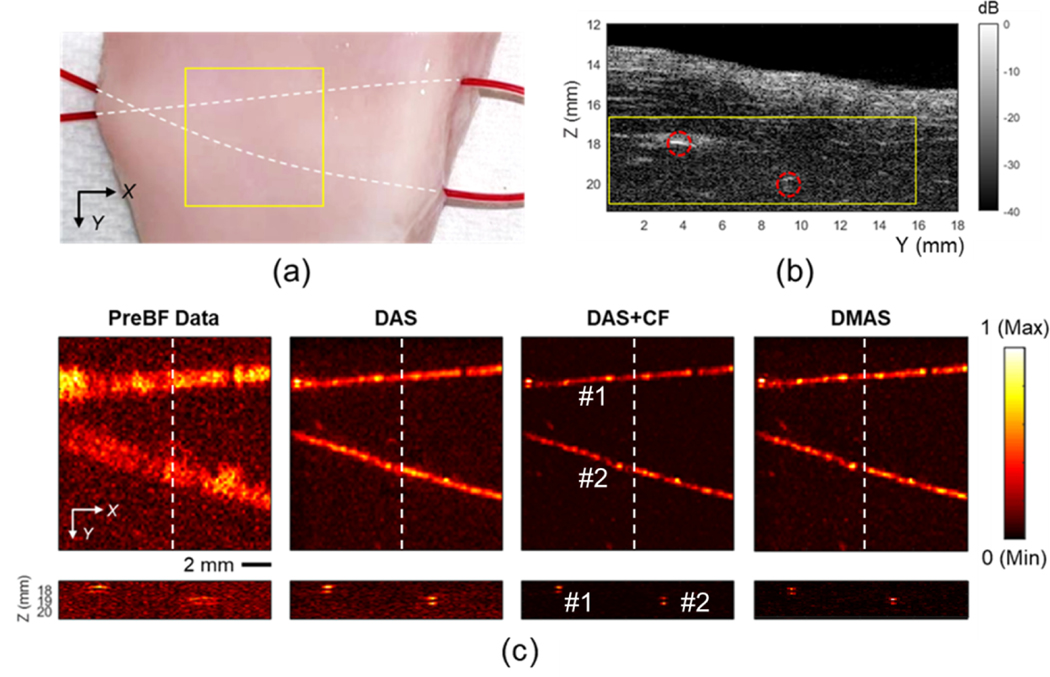 Fig. 11