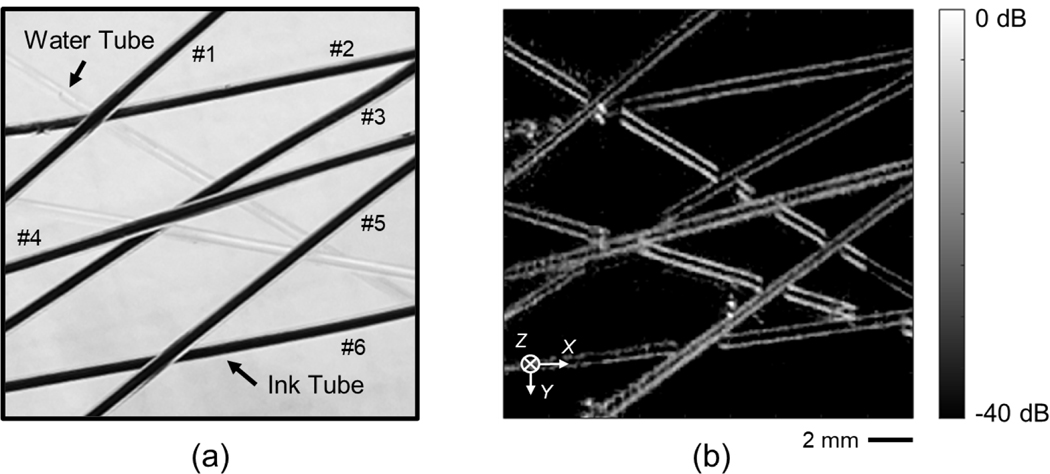 Fig. 8