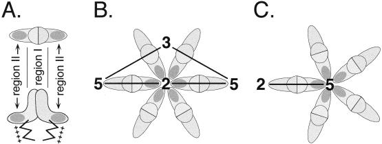 FIG. 9