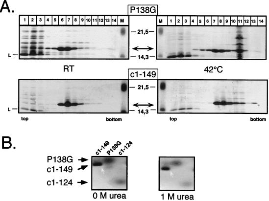 FIG. 8