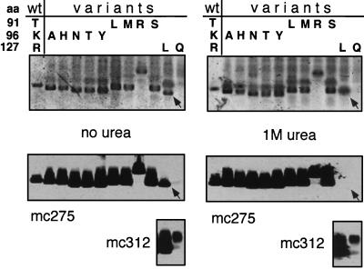 FIG. 6