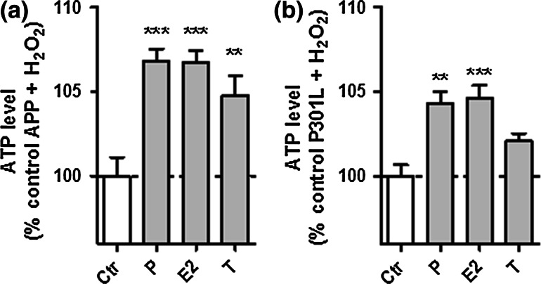 Fig. 7