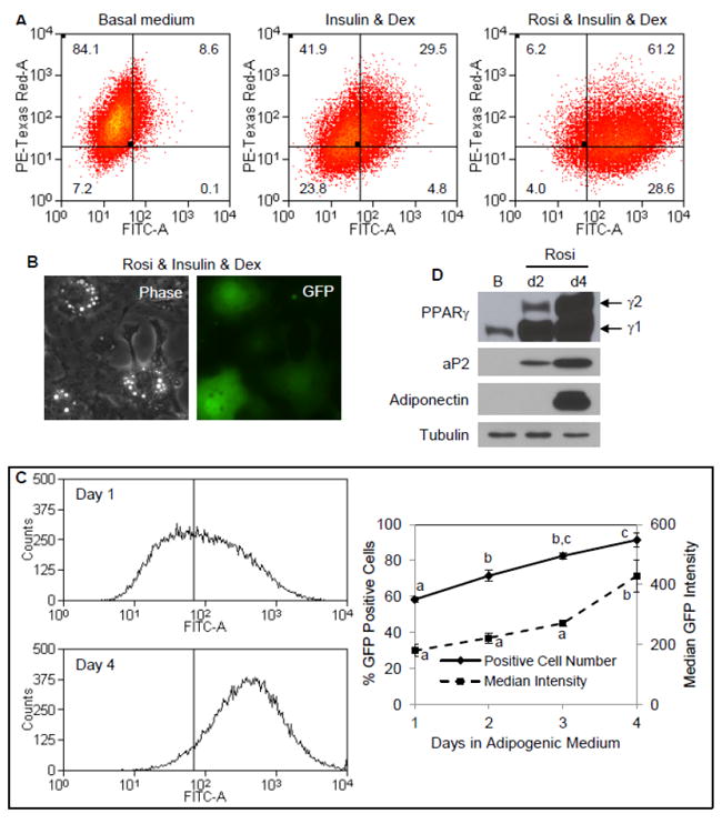 Fig. 4