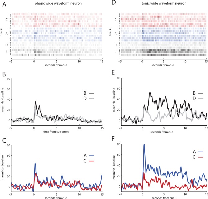 Figure 3—figure supplement 1.