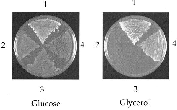 FIG. 5.