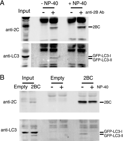 FIG. 7.