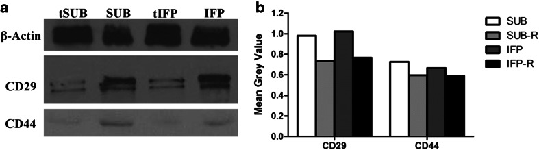 Fig. 9