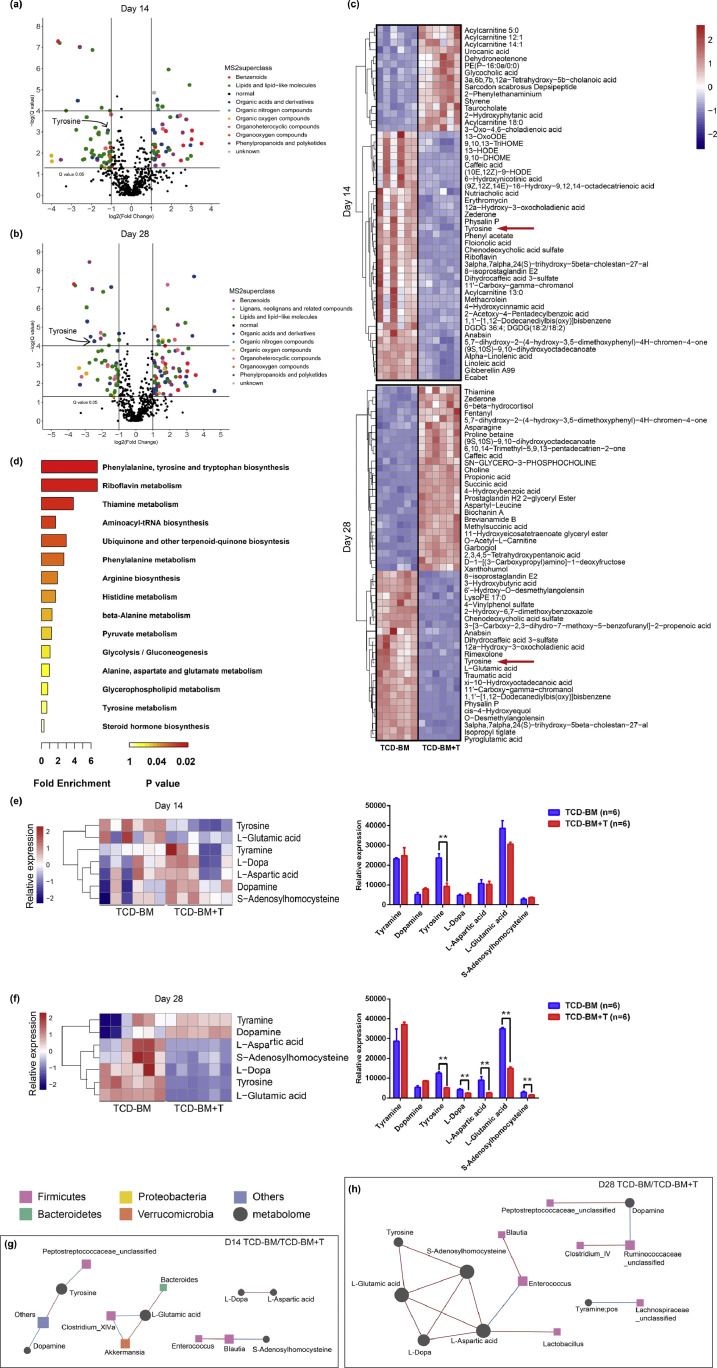 Fig. 2:
