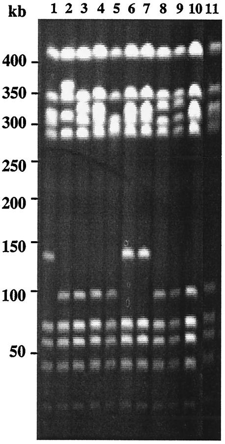 FIG. 1.