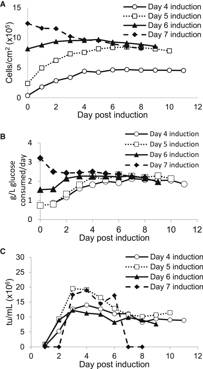 Figure 2