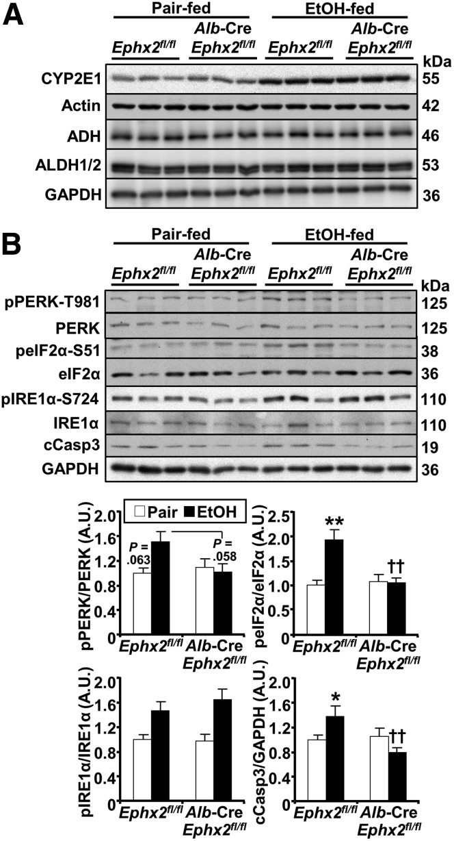 Figure 6