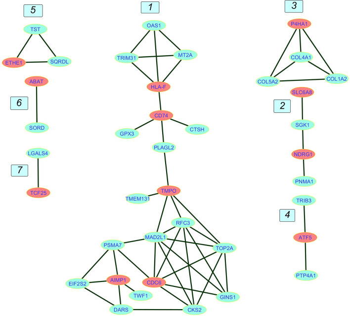 Figure 4