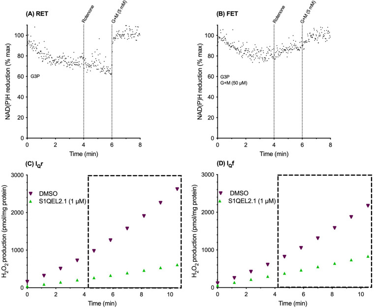 Figure 3.